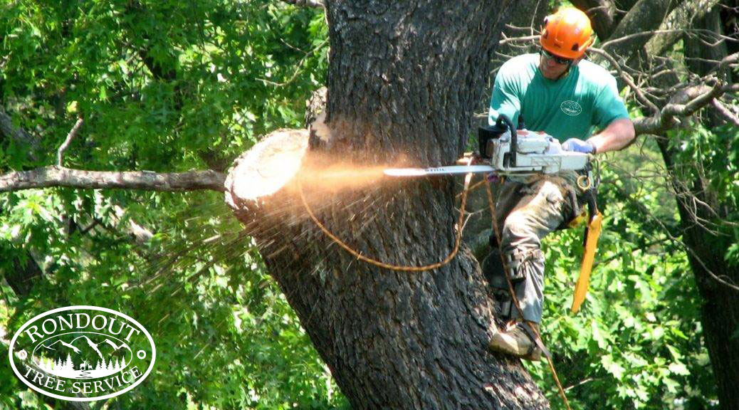 Tree Service